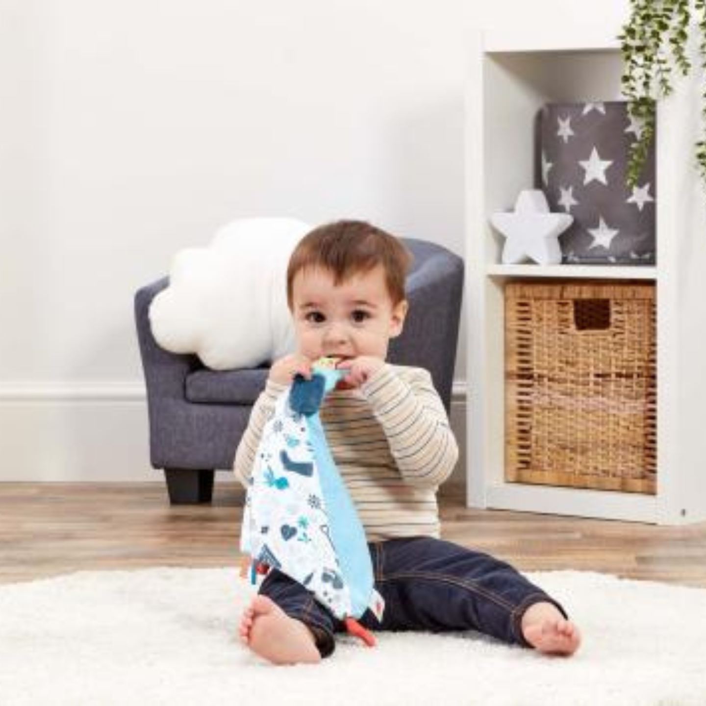 Peter Rabbit Developmental Comforter