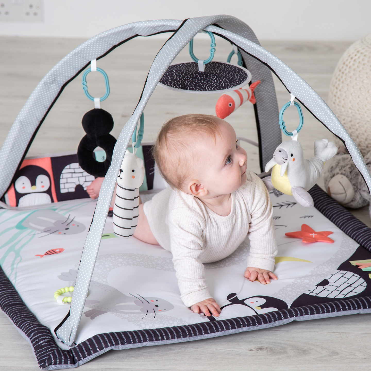 Redkite Artic Dreams Play Gym