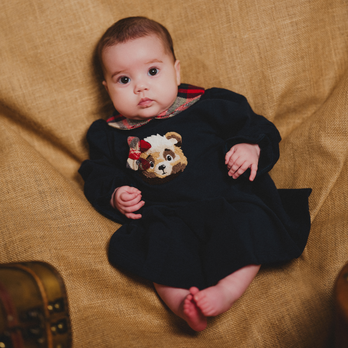 Deolinda Girls Navy/Red Pleated Dress