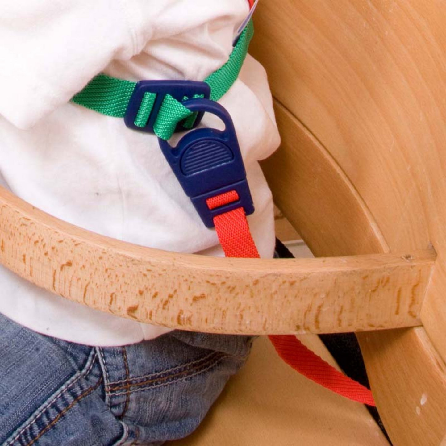 Harness & Reins (With Anchor Strap)